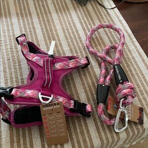 Arcadia Pink Dog Harness and Leash Set